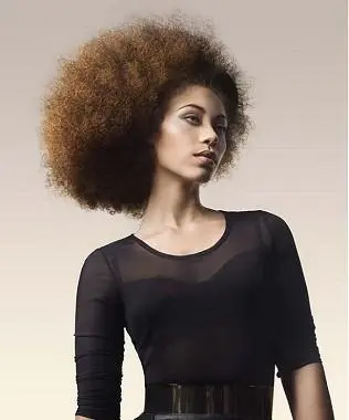 frizzy afro wig