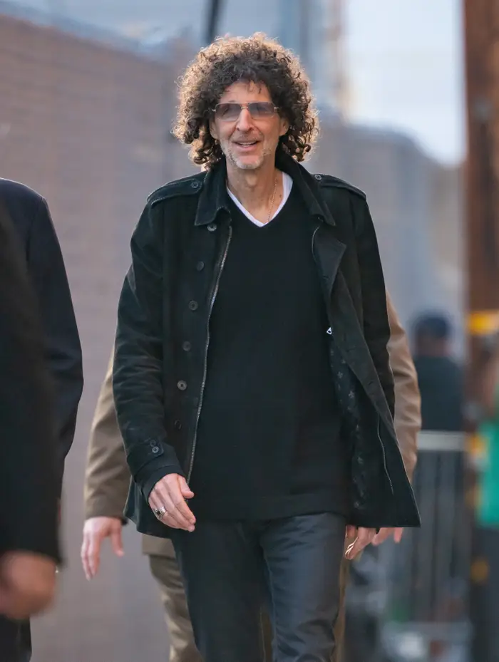 Why a Howard Stern Wig is Your Go-To Choice for Every Occasion