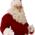 Premium Santa Beard Wig Set