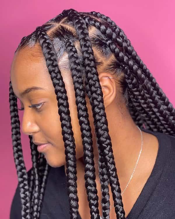 Box braids, protective style