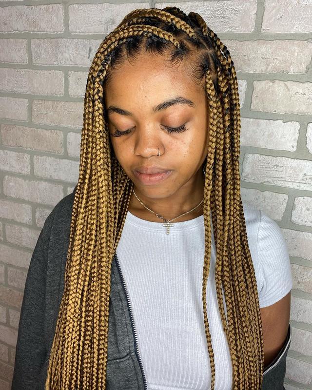 Braided Hairstyles, Box Braids