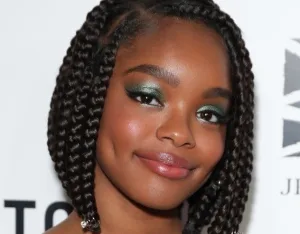 Celebrities Who Have Rocked Two Strand Twists