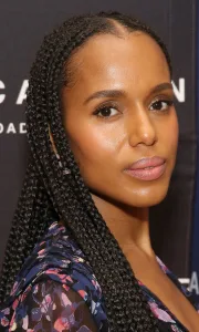 Celebrities Rocked Side Lemonade Braids