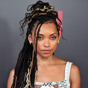 Celebrities Who Have Rocked Two Strand Twists