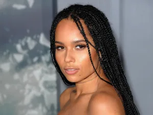 Celebrities Who Have Rocked Two Strand Twists