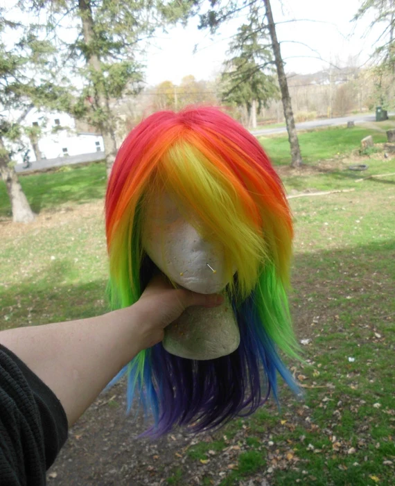 Rainbow Wig